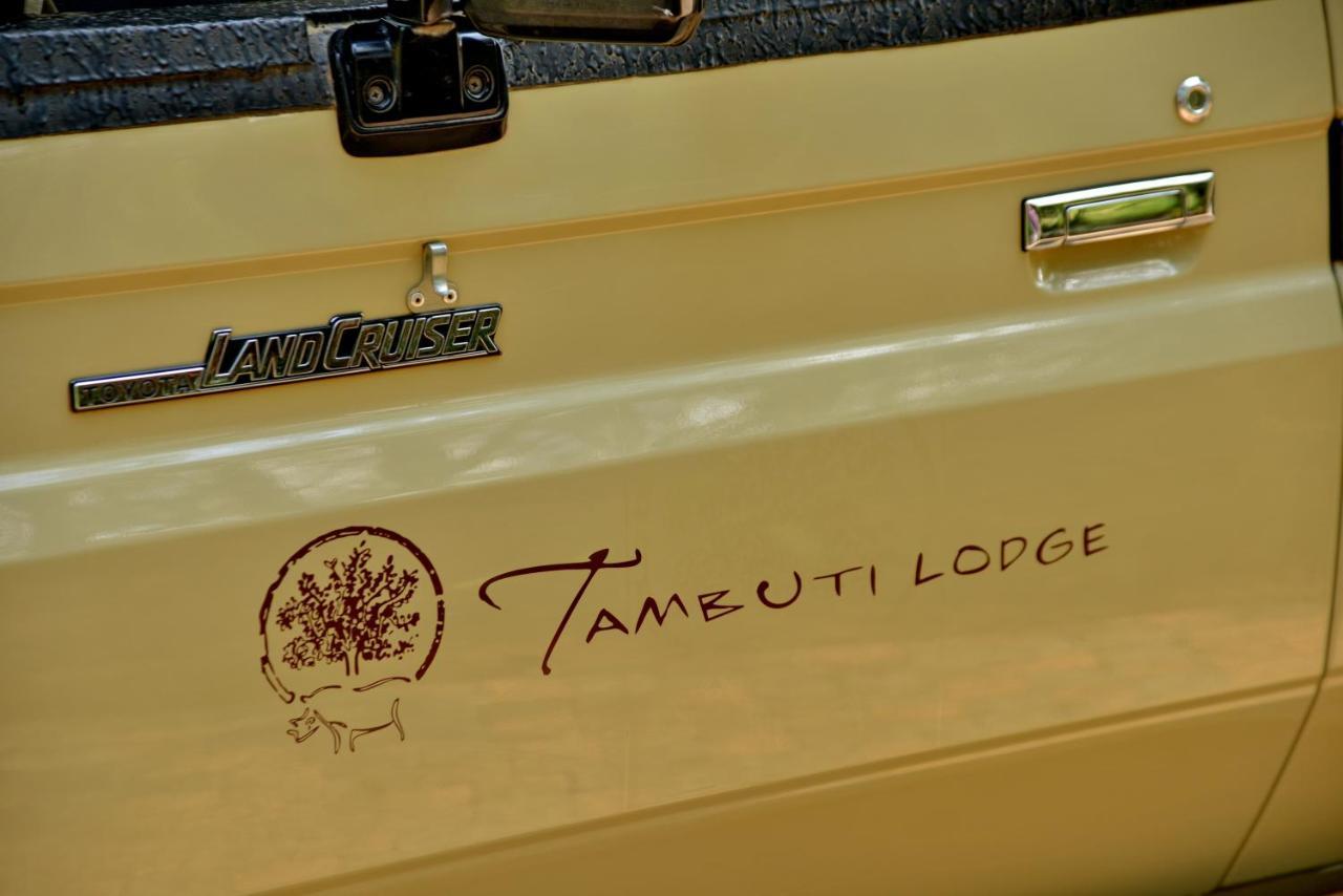 Tambuti Lodge Pilanesberg Buitenkant foto