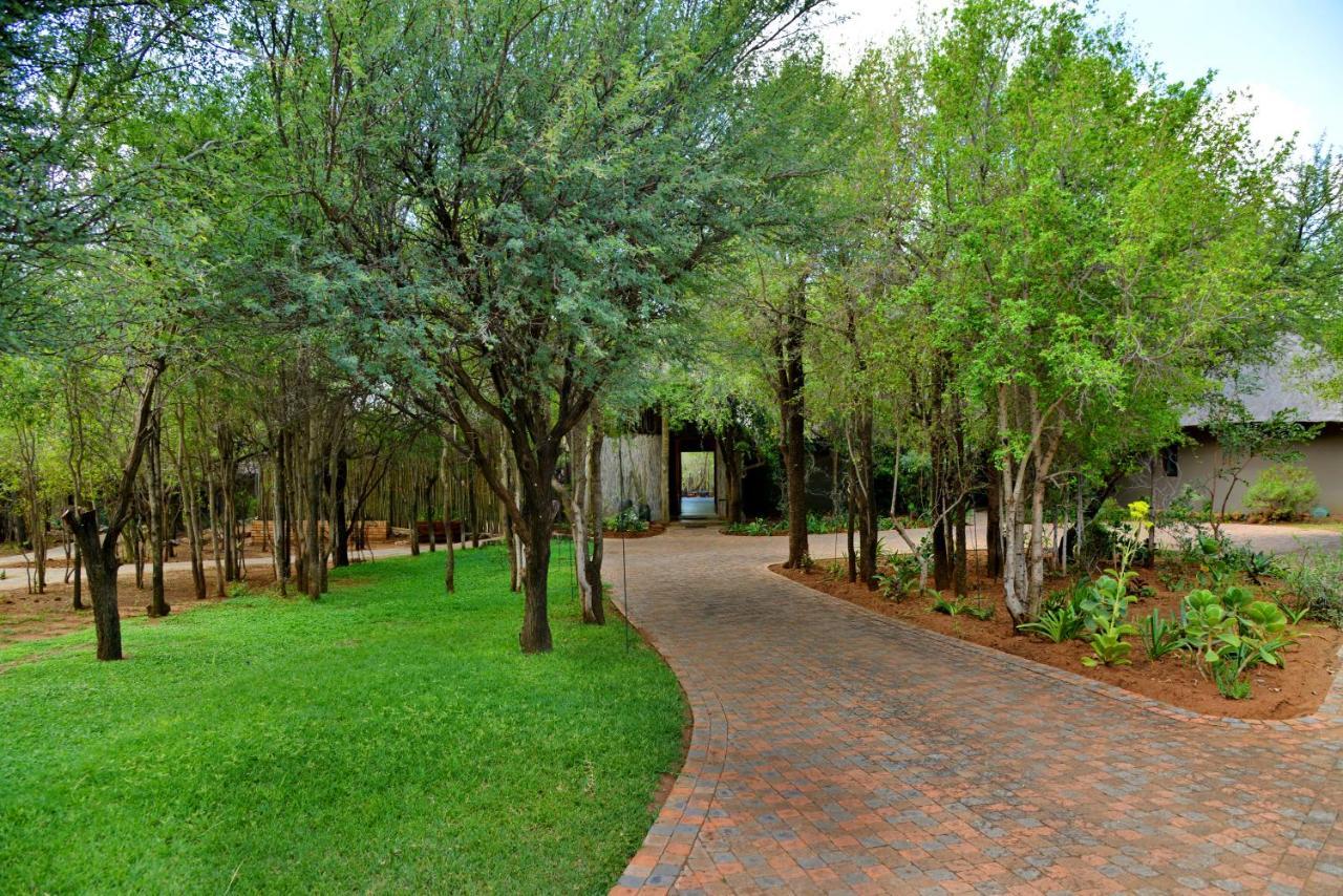 Tambuti Lodge Pilanesberg Buitenkant foto